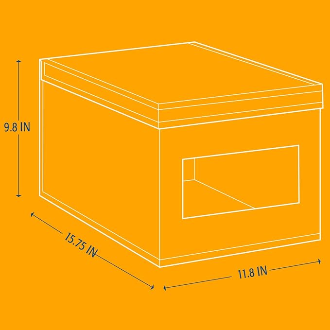 Arm & Hammer Bed Shoe Storage Box, Grey