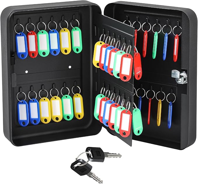 Ripeng 48-Keys Steel Key Lock Box - Wall Mount Key Cabinet with Colorful SecureTags & Hooks Keys Organizer Storage for Home Office Hotel Rental Business Property Management, Black