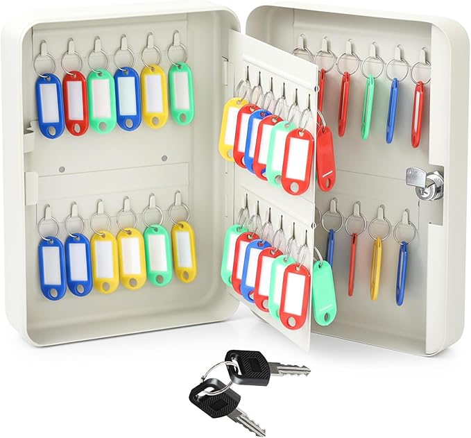 Ripeng 48-Keys Steel Key Lock Box - Wall Mount Key Cabinet with Colorful Secure Tags & Hooks Keys Organizer Storage for Home Office Hotel Rental Business Property Management, White