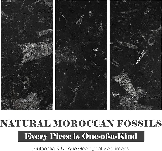 Natural Moroccan Fossil Stone Tray - Black Marble Decorative Serving Board for Charcuterie, Cheese, Pastry - Jewelry, Candles, Perfume, Trinket Plate, Kitchen & Home Decor Centerpiece 12"x 8"