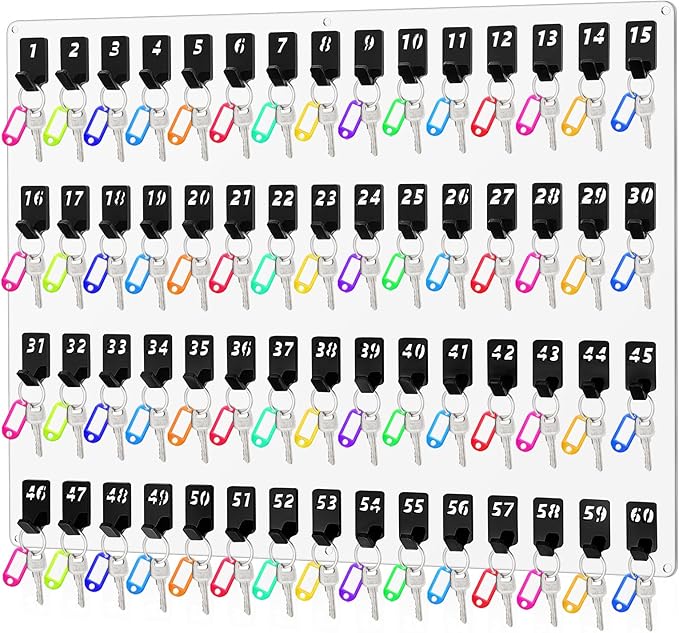 Beeveer Acrylic Key Board with 60 No. Hooks Wall Mount Key Rack Holder Hanger Storage Collection for School, Garage, Car Dealer, Office, Hotel, Real Estate(Transparent)