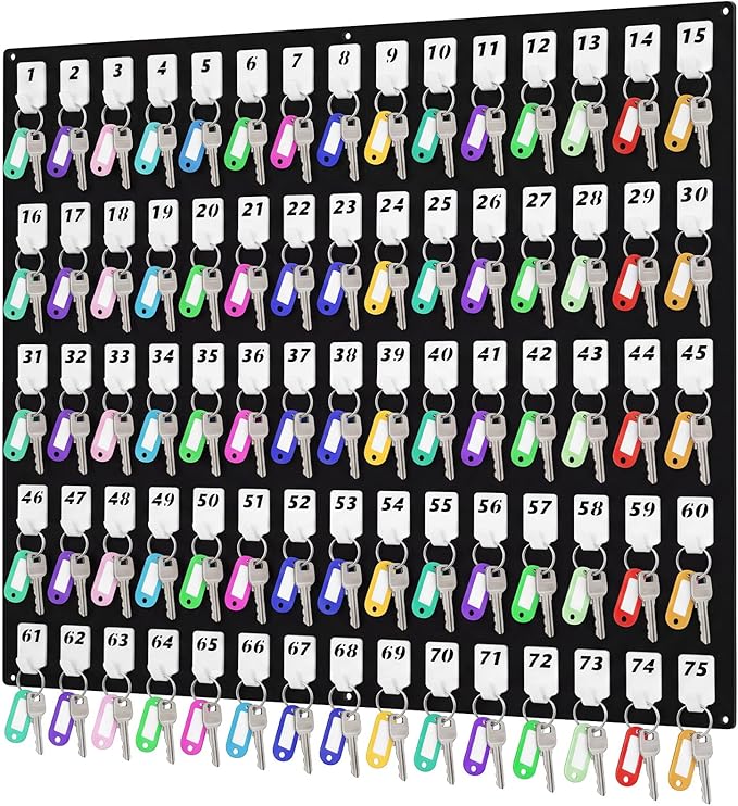 Beeveer Acrylic Key Board with 75 No Hooks Wall Mount Key Rack Holder Hanger Storage Collection for School, Garage, Car Dealer, Office, Hotel, Real Estate(Black)