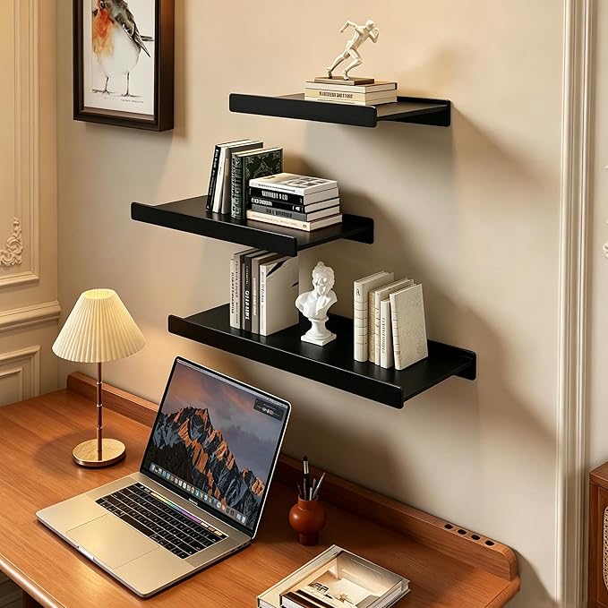 Widen Floating Shelves for Wall, Wall Mounted Shelves with Lip for Storage, Metal Display Shelves, Kitchen/Living Room/Bedroom/Bathroom Shelf, Black 12 inch 2 Pack