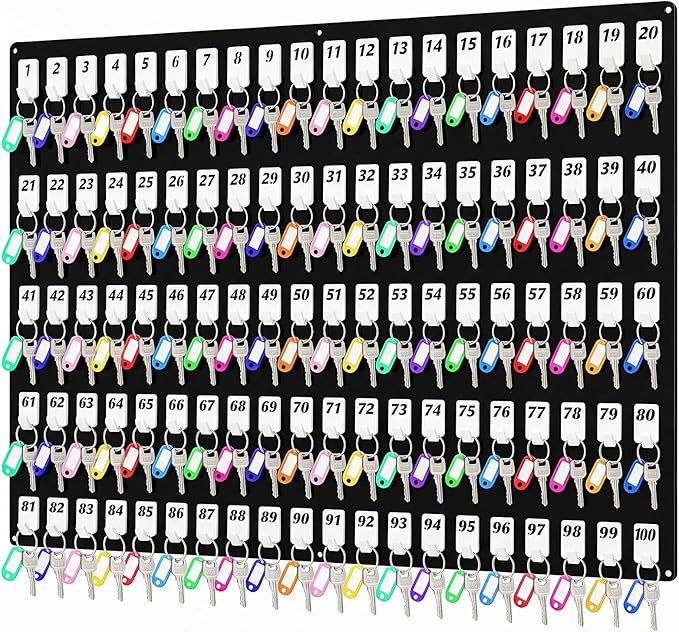 Beeveer Acrylic Key Board with 100 No. Hooks Wall Mount Key Rack Holder Hanger Storage Collection for School, Garage, Car Dealer, Office, Real Estate, Hotel (Black)