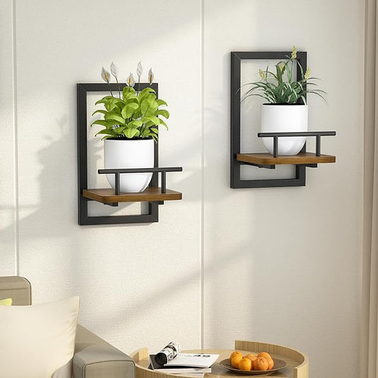 2-Pack Floating Shelves for Indoor Plants, Wall Mounted Storage Shelves for Bedroom, Living Room, Kitchen, Office, Bathroom Decor